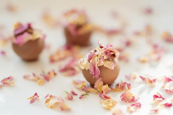 Καζίνο Μπελλα Βεγας Εφαρμογή Android/iOS